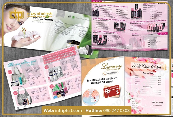 in brochure giá rẻ