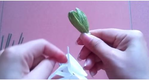 cách làm hoa mộc lan bằng giấy