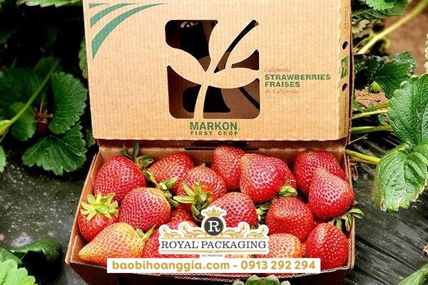 xưởng in hộp giấy đựng dâu tây