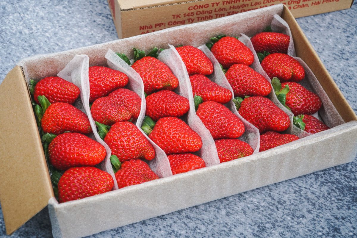 hộp giấy đựng dâu tây