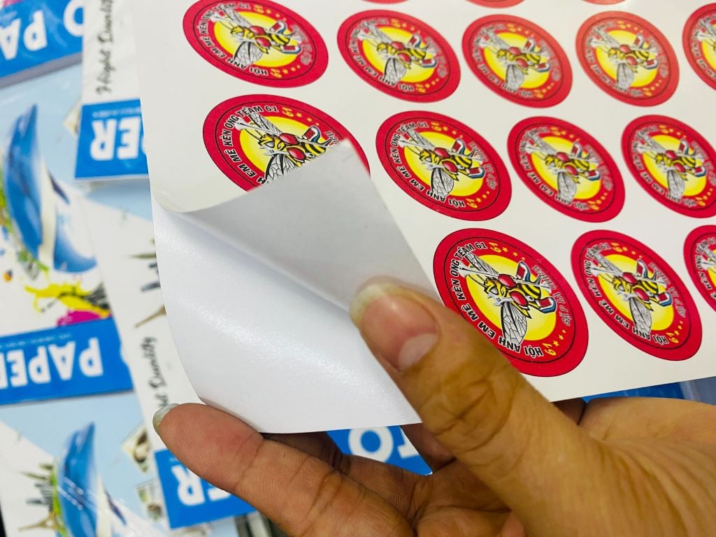 Cấu tạo chi tiết của giấy decal